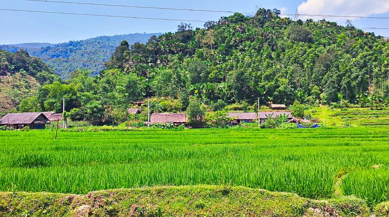 22 - Ha Giang.jpg