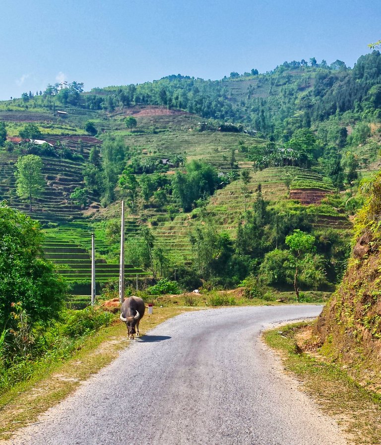 05 - Ha Giang.jpg