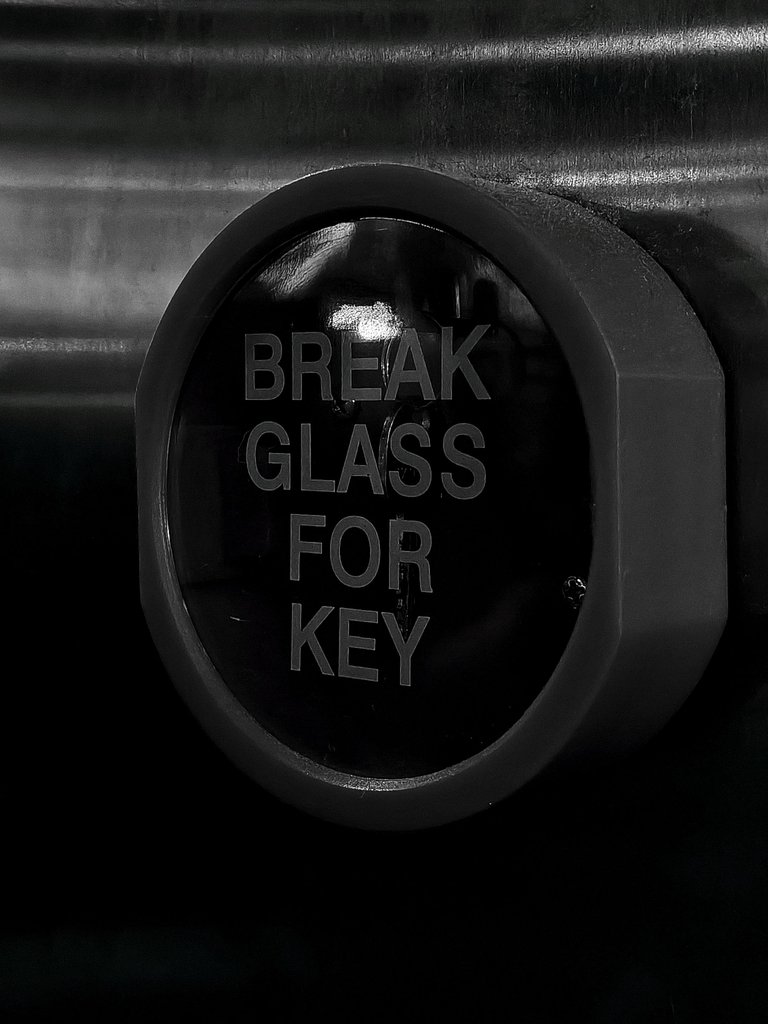 1000054697.jpg