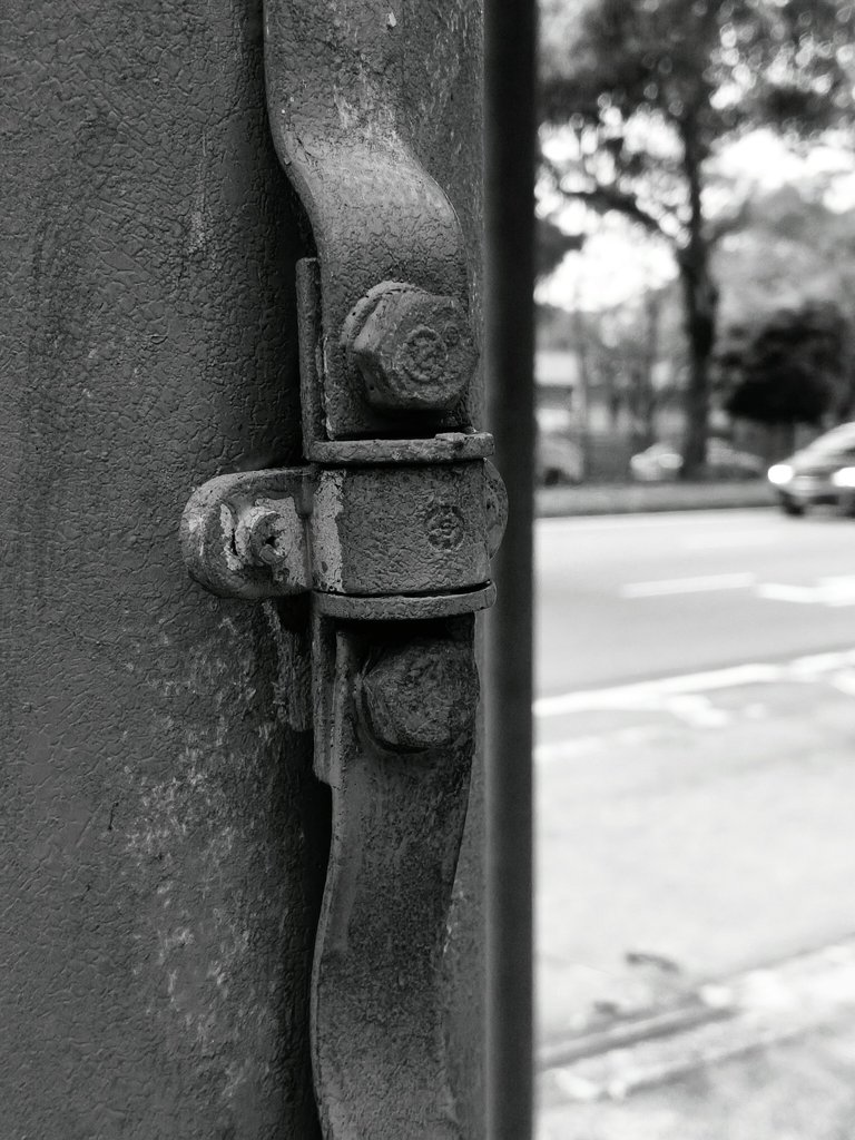 1000054196.jpg