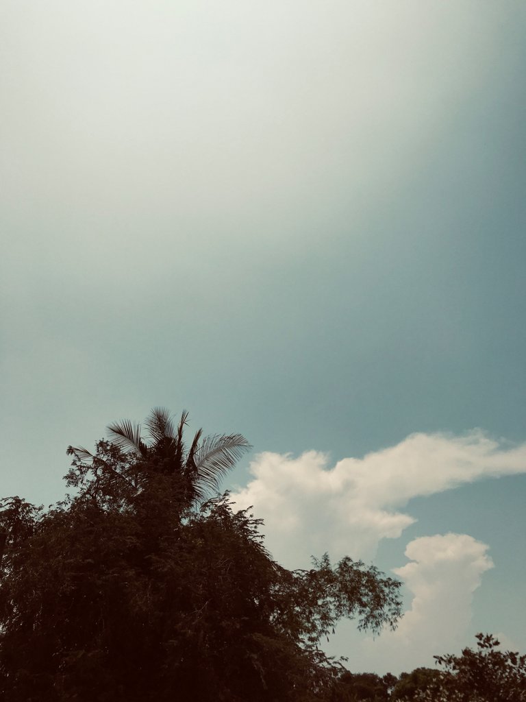 75626F60-126C-4BB9-B8A1-3AAB12F536B6.jpeg