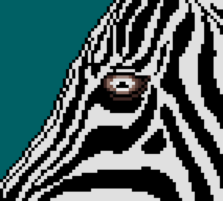 002 - Zebra Eye.png