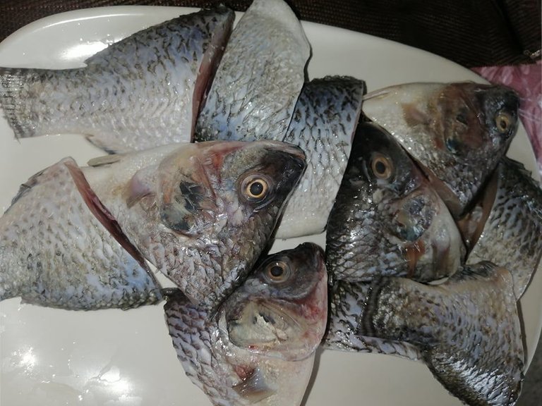 tilapia sliced.jpg