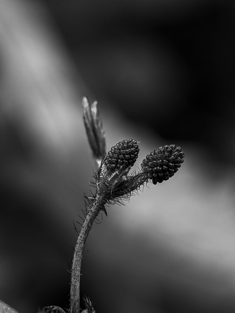 1752572019798.jpg