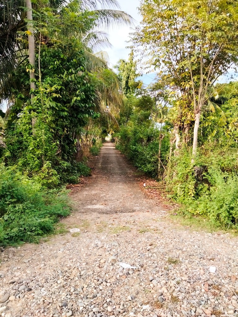 IMG20231024164658.jpg