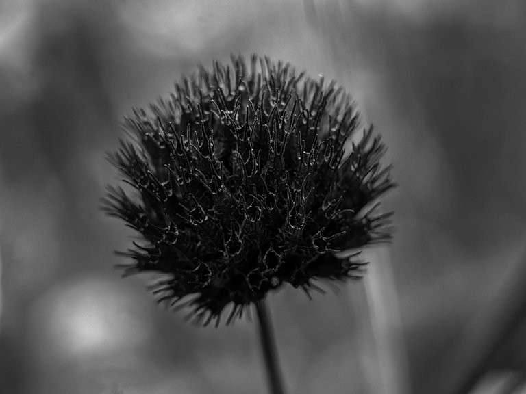 1750912780511.jpg
