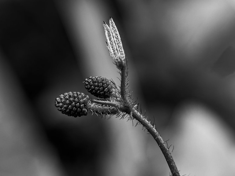 1752572019807.jpg