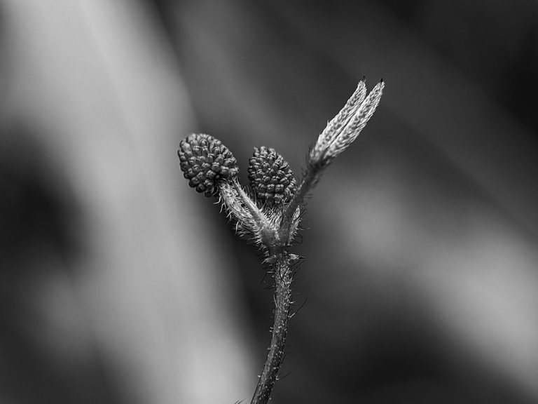 1752572019817.jpg