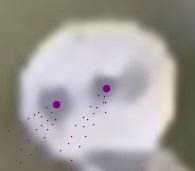 tichpeople.JPG