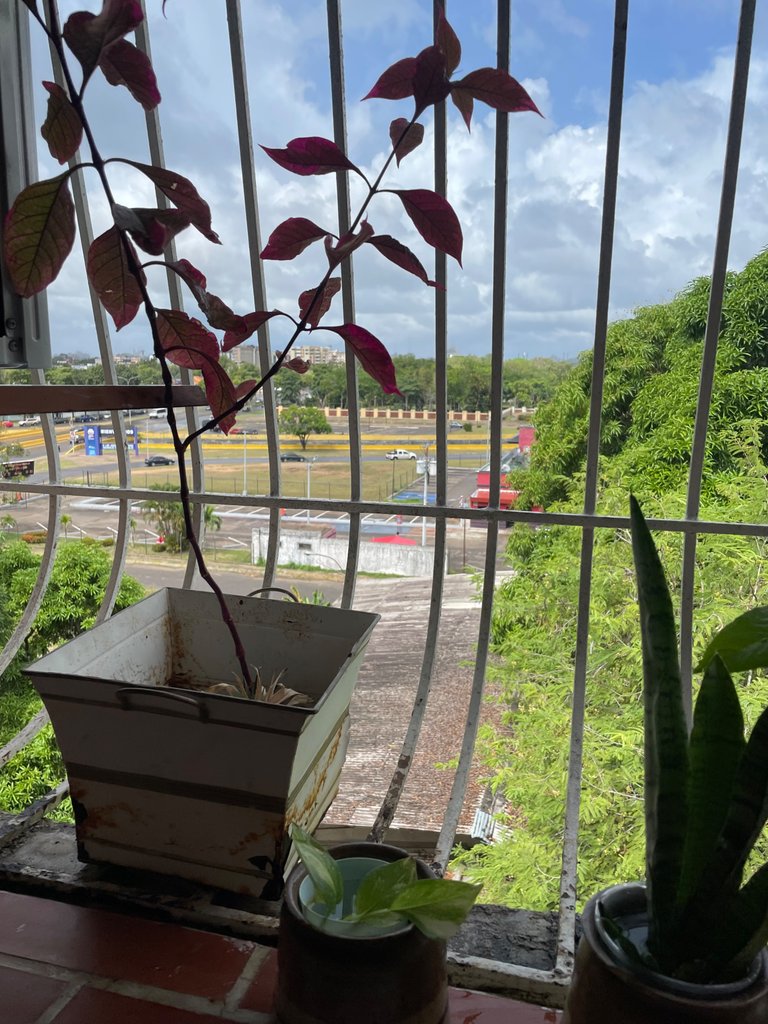 IMG_4565.jpeg