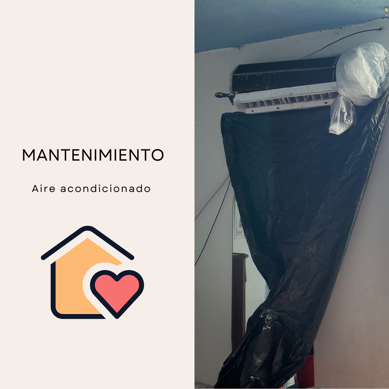 Post de Instagram Frase Motivacional Órganico.png
