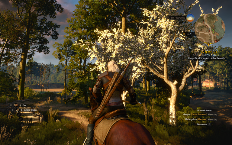 witcher3_2022_03_18_15_55_34_320.png