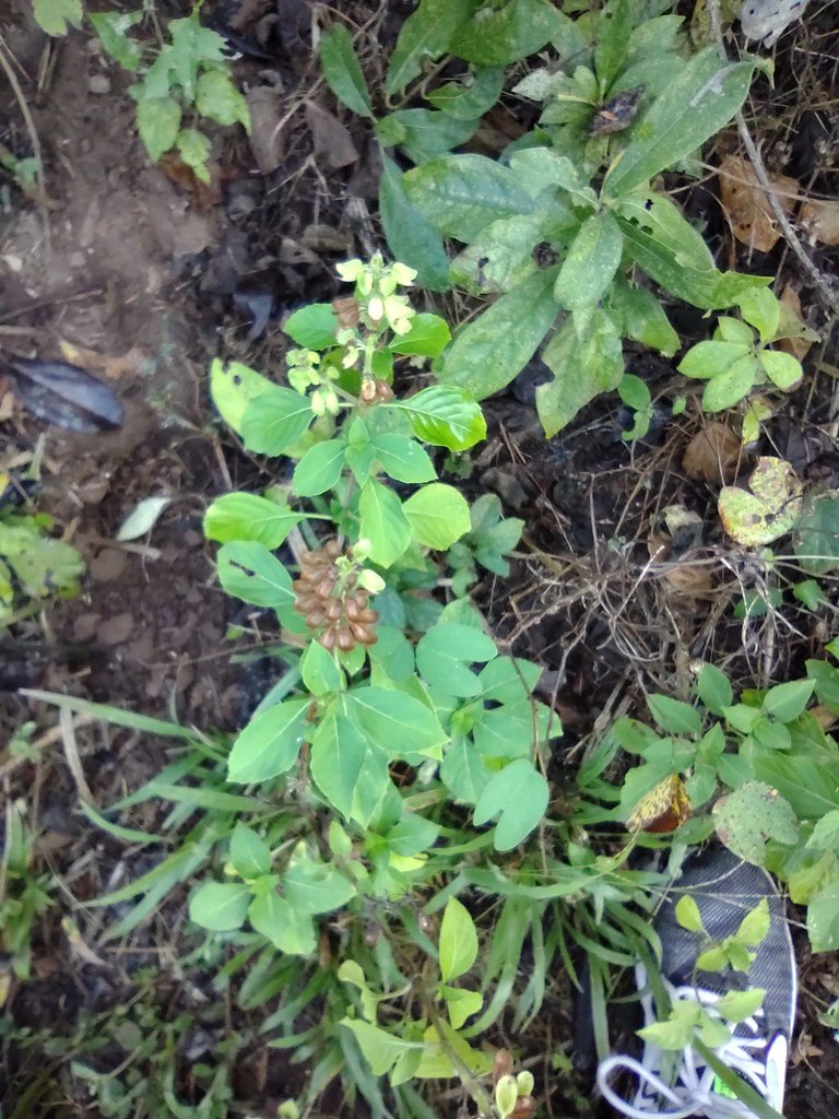 IMG_20230101_092757068.jpg