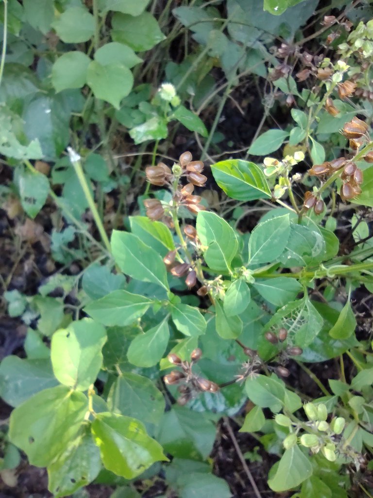 IMG_20230101_092825146.jpg