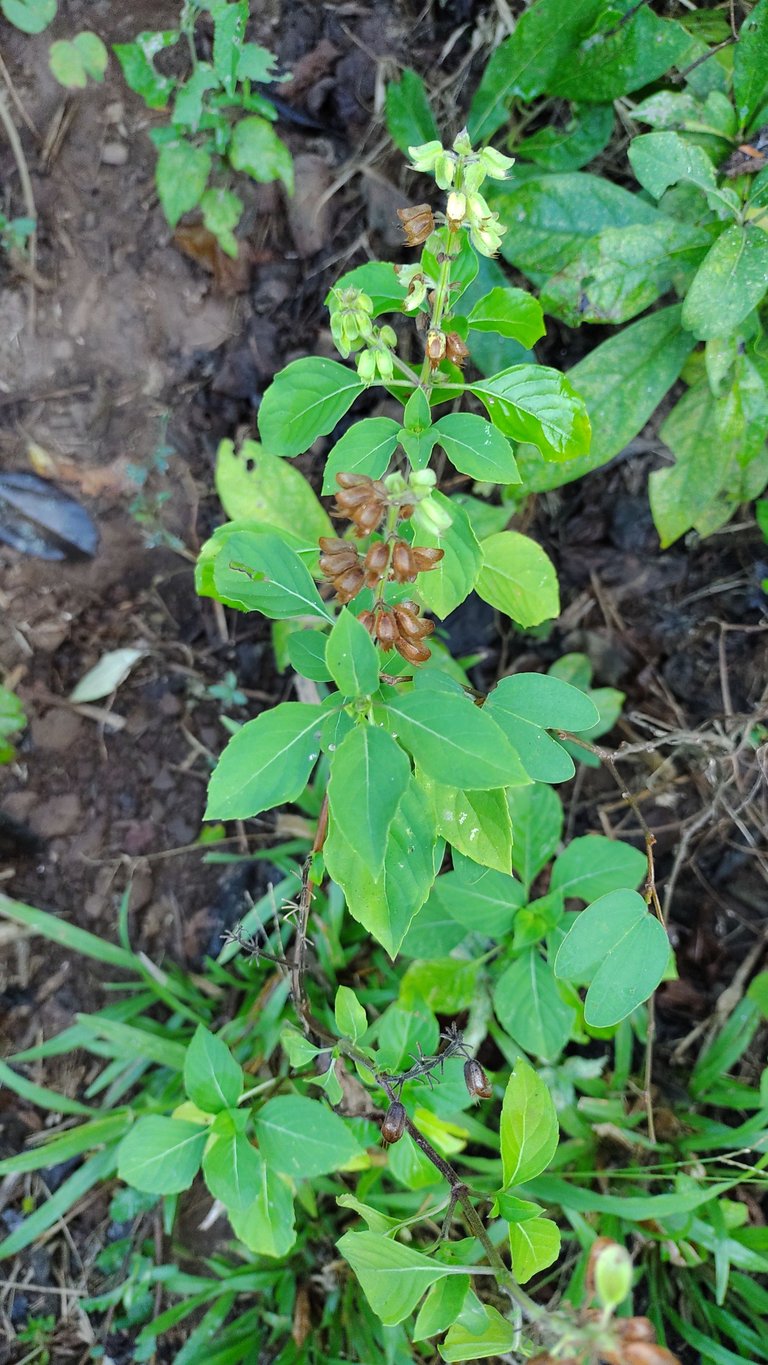 IMG_20230101_092801363.jpg