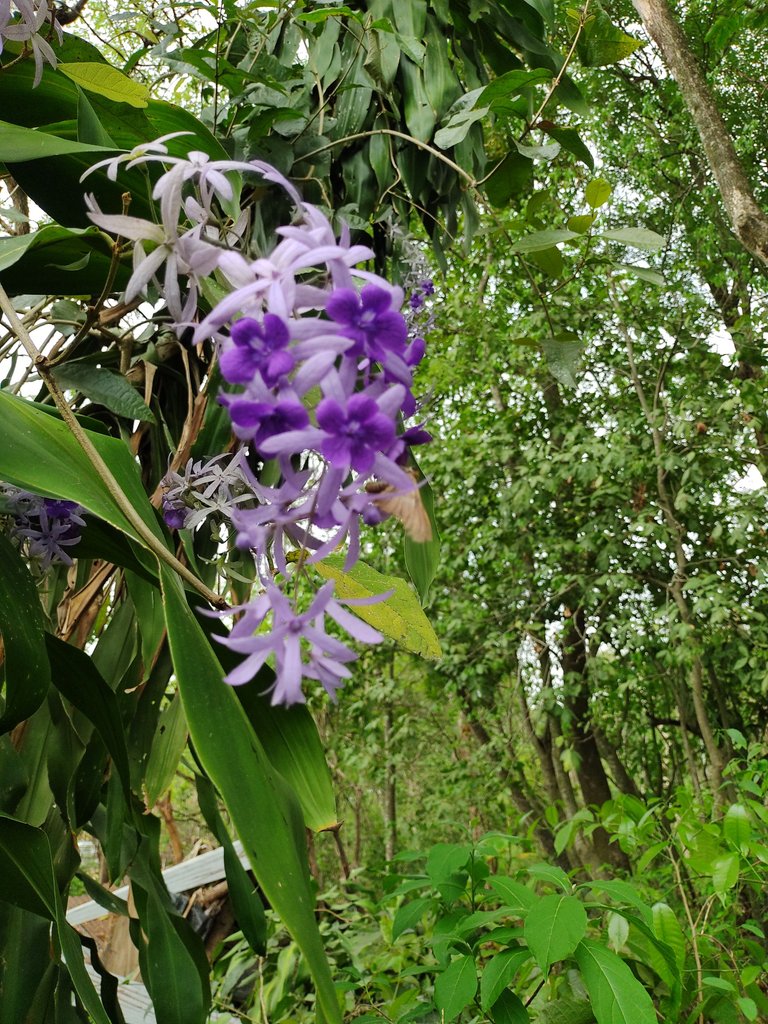 IMG_20230429_144843893.jpg