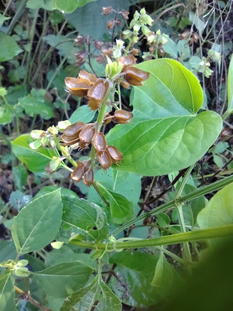 IMG_20230101_092827622.jpg