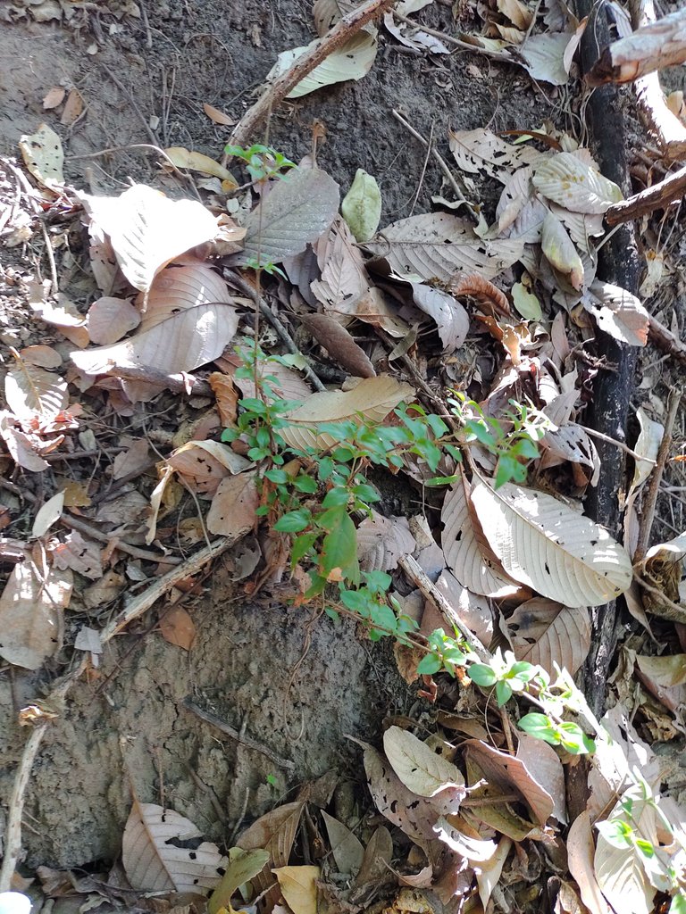 IMG_20220410_085716754.jpg