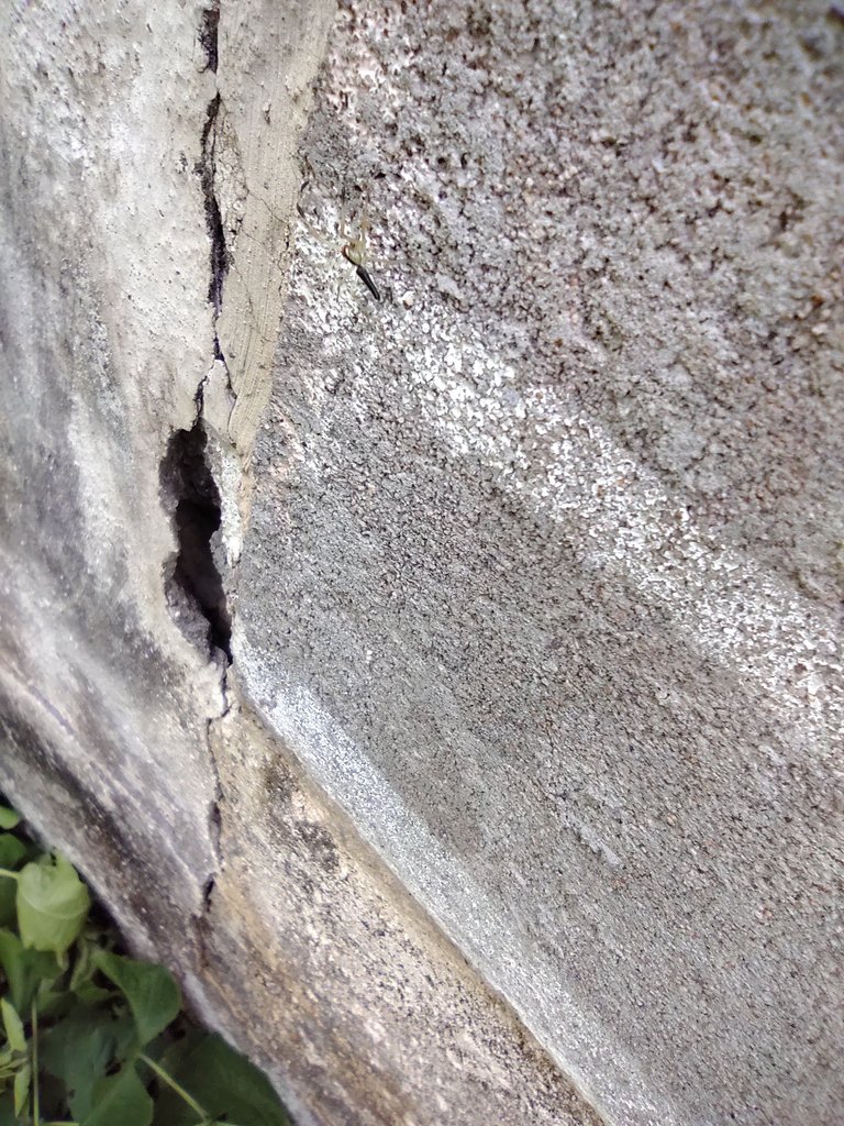 IMG_20220702_122703586.jpg