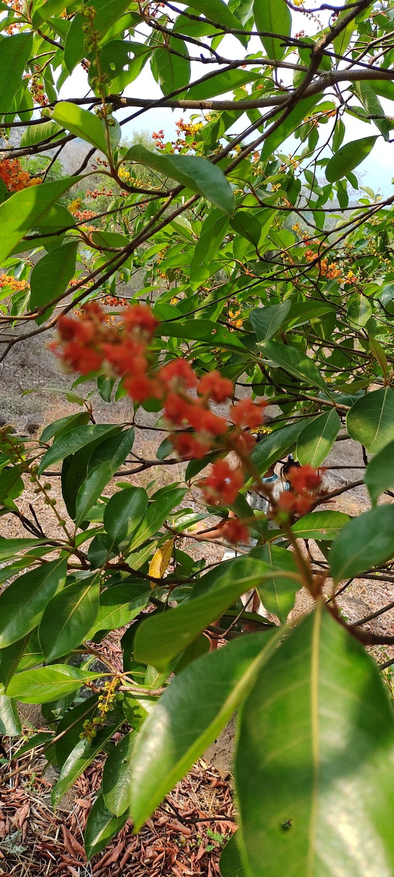 IMG_20230407_082738077.jpg