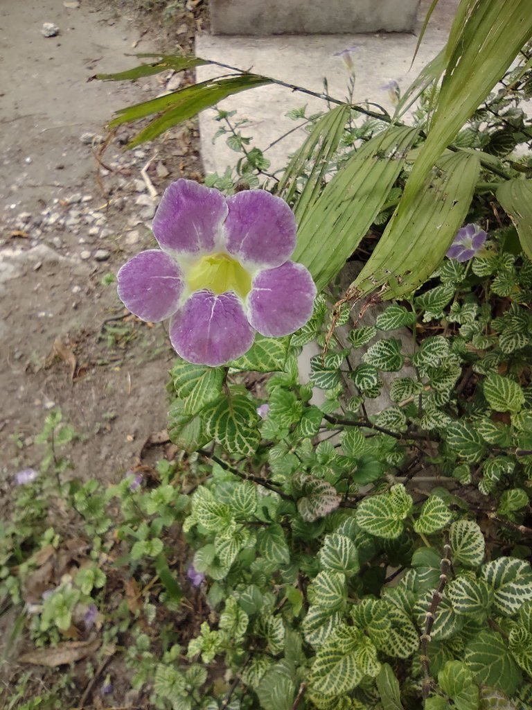 IMG_20230427_112051078.jpg