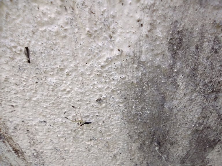 IMG_20220702_122714926.jpg