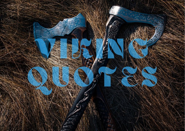 Viking quotes image (3).png