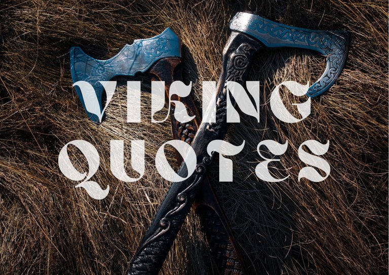 Viking quotes image (6).png