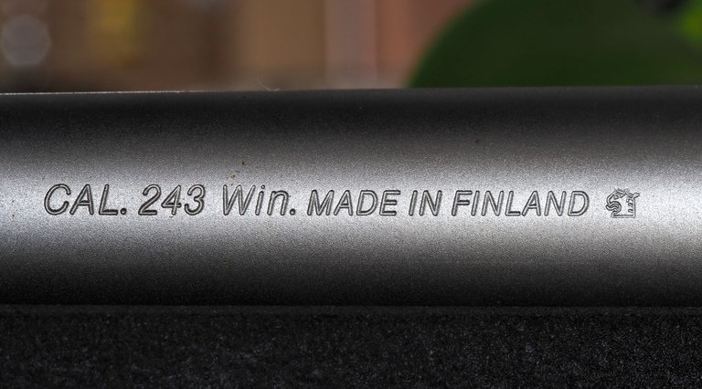P7300116 (1).JPG