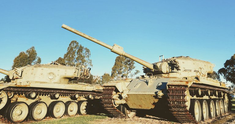 VVocXX3e44.jpg