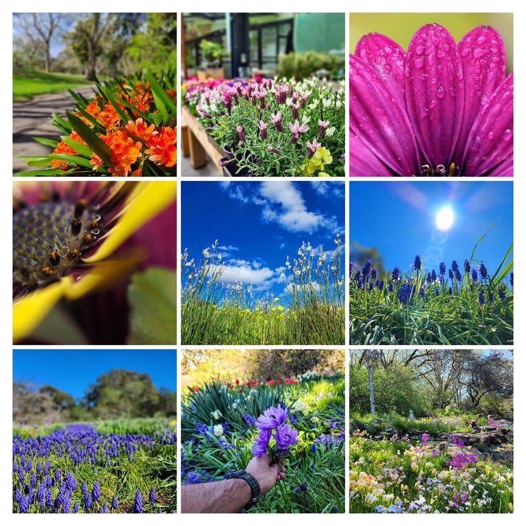 20210920_111114-COLLAGE.jpg