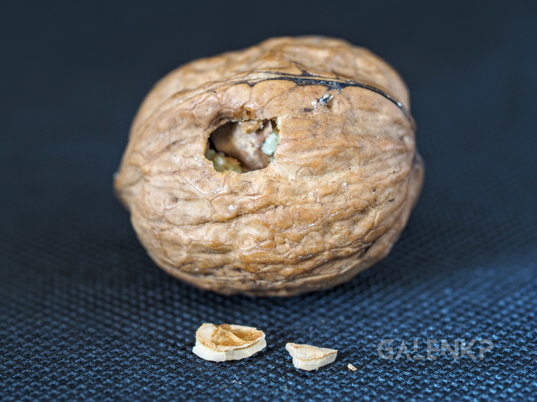 fuck-nuts (9).png