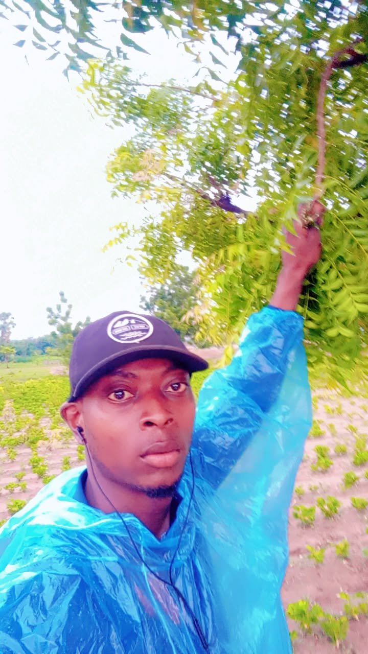 Snapchat-367142166.jpg