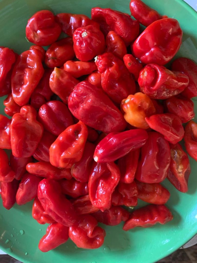 De-stemmed Peppers