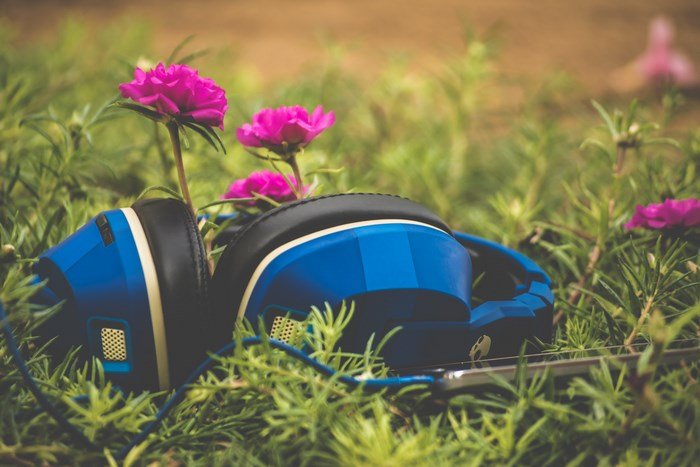 5323937-headphone-flower-grass-bokeh-green-blue-listen-music-nature-skull-candy-technology-purple-flower-blue-headphone-ipod-lawn-outside-greenery-pink-smart-phone-phone-free-images.jpeg
