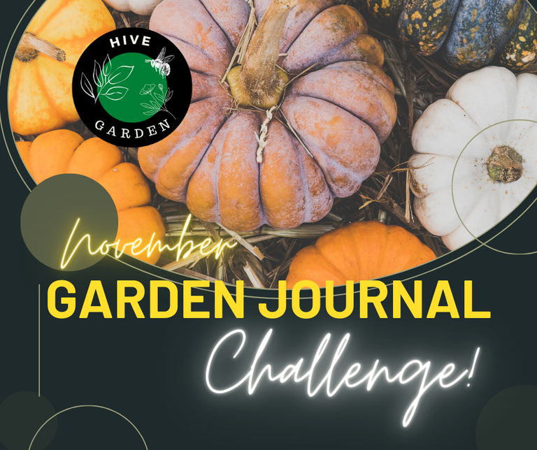 Garden Journal Challenge (3).png