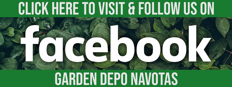 garden-depo-facebook-follow.png