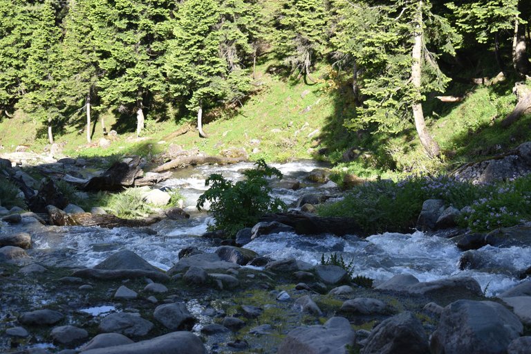 DSC_0012.JPG