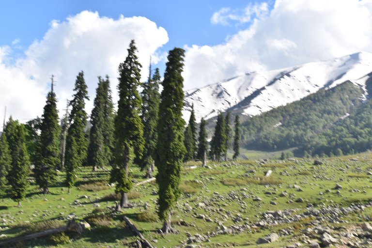 DSC_0008.JPG