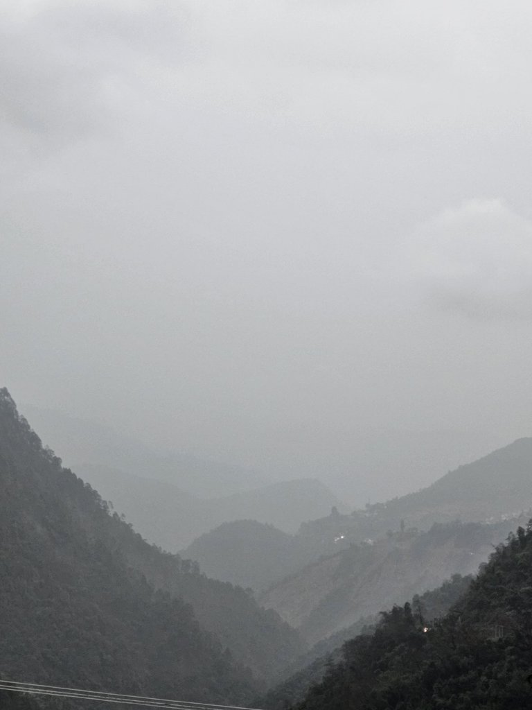 1000384182.jpg