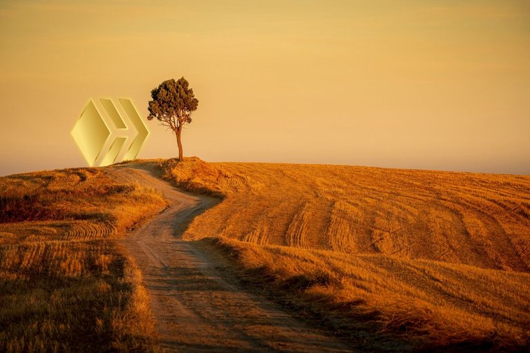 beautiful-shot-of-a-path-in-the-hills-and-an-isolated-tree-under-the-yellow-sky.jpg