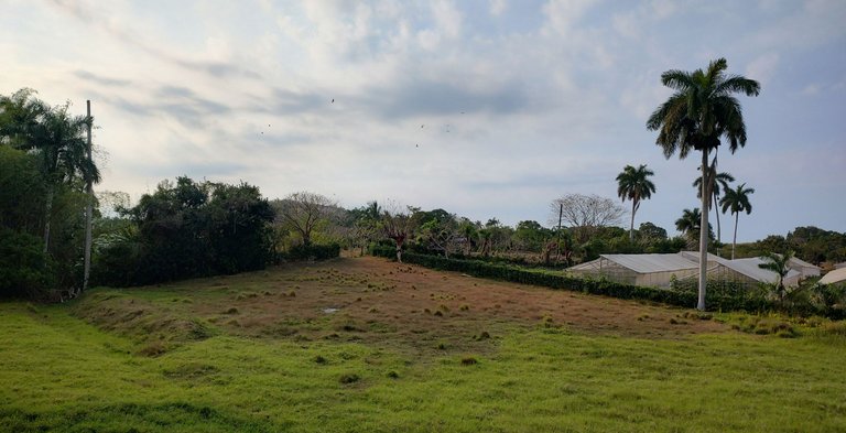 IMG_20230311_163754158_HDR.jpg