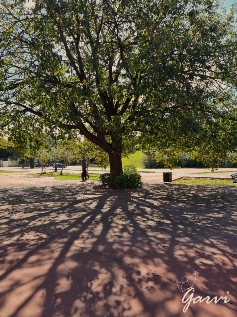 20230228_130221.jpg