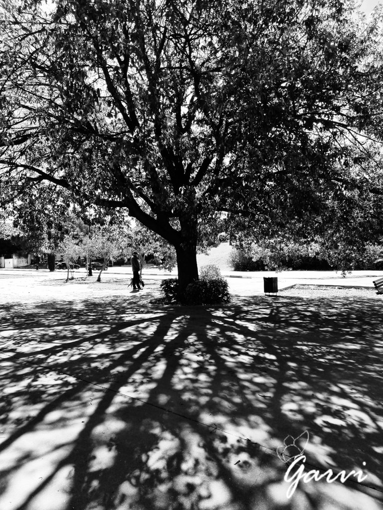 20230313_102657.jpg