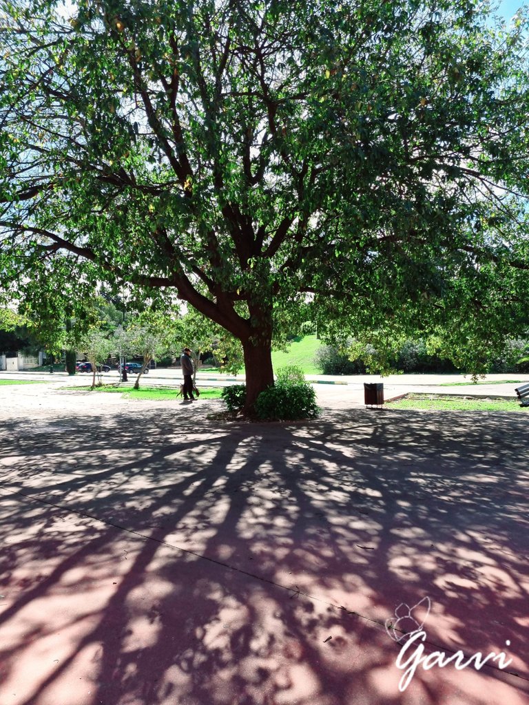 20230313_102625.jpg
