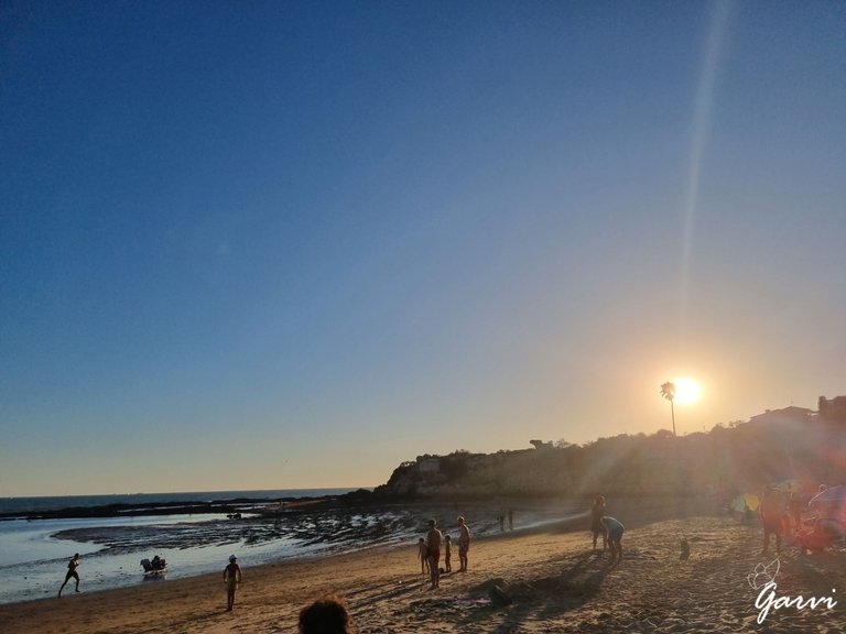 20230829_201755.jpg