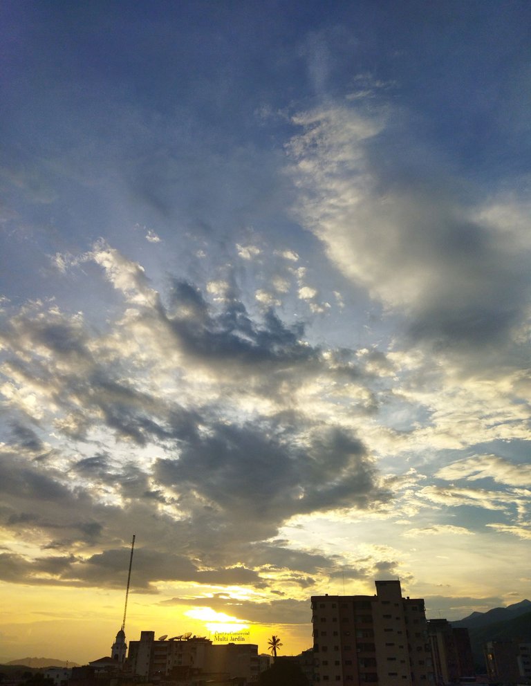 IMG_20231205_153546.jpg
