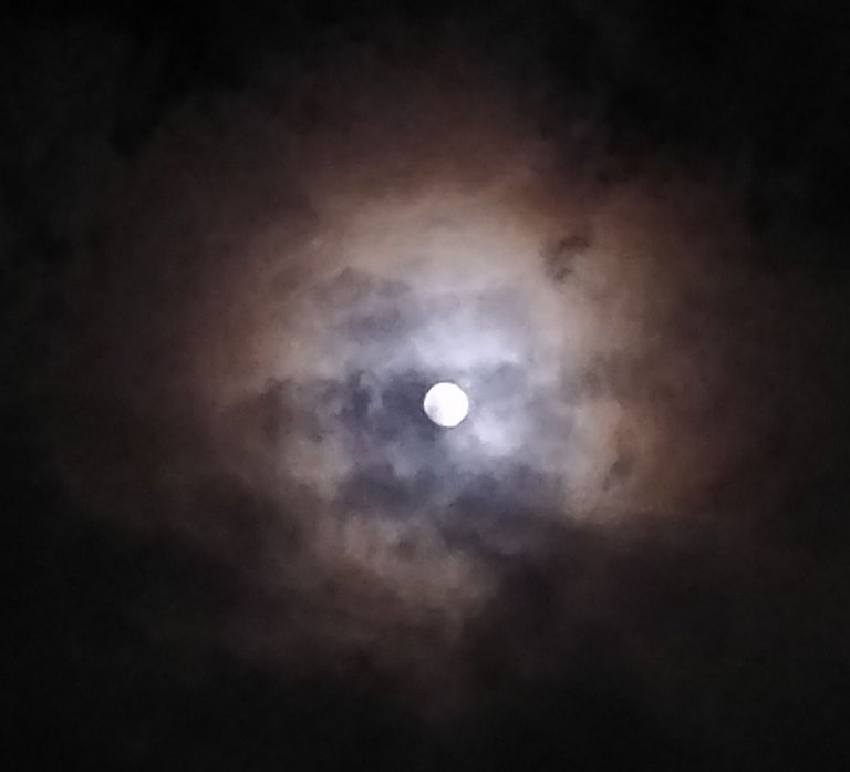 IMG_20231205_162850.jpg