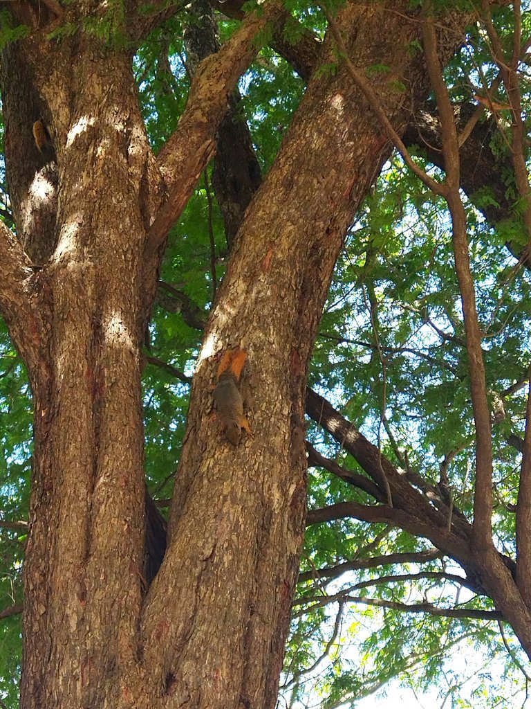 IMG_20250707_163853.jpg