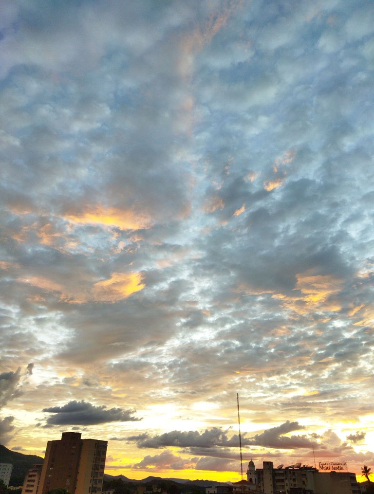 IMG_20231205_160616.jpg